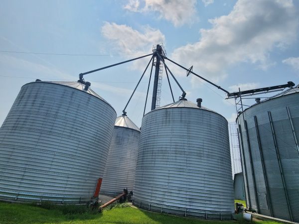 Centre entreposage de grain 2100 ton avec élévateur et convoyeur -Stock#d6752x